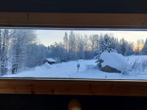 View from wood-headed sauna